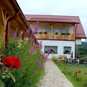 Pensiunea Poezii Alese Hotel Valea Drăganului Exterior photo