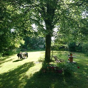 Grange Renovee Et Son Jardin Dans L'Avant Pays Savoyard Villa Champagneux Exterior photo