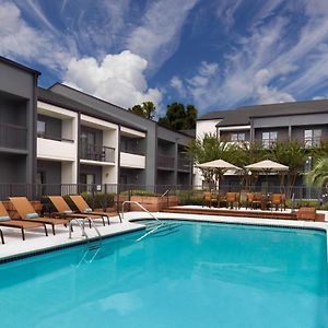 Courtyard By Marriott Tallahassee Downtown/Capital Hotel Exterior photo