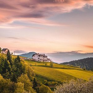 Blizej Nieba Bed & Breakfast Skrzydlna Exterior photo