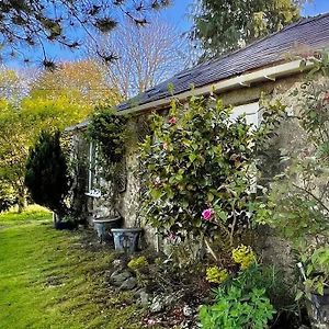 The Bothy - A Secluded And Romantic Rural Retreat Llanddyfnan Exterior photo