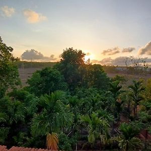 Kamanabillu Homestay, For Jog Falls Travellers Siddapur Exterior photo