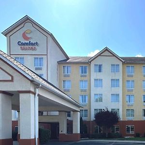 Comfort Suites Airport Charlotte Exterior photo