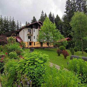 Pensiunea Lu' Movila Hotel Durău Exterior photo