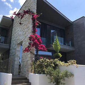 Olea Family Suite With Garden Dhermi Exterior photo
