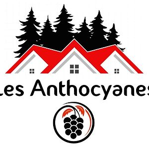 Les Anthocyanes Chambre Foret Hotel Champagny Exterior photo