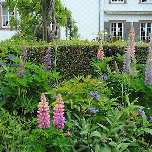 La Vieille Eglise Bed & Breakfast Le Hohwald Exterior photo