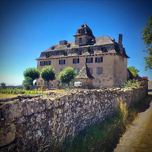 Chateau De Cours Bed & Breakfast Sénezergues Exterior photo