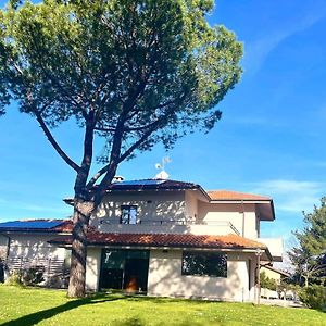 Nuances Del Conero Relais Bed & Breakfast Castelfidardo Exterior photo