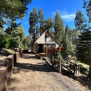 Sequoia National Forest Cabind Villa Panorama Heights Exterior photo