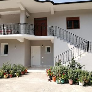 Bujtinat Peci Apartment Elbasan Exterior photo