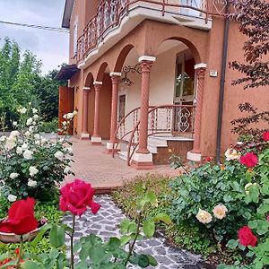 Lily - Storie Del Bosco - Bed & Breakfast San Felice sul Panaro Exterior photo