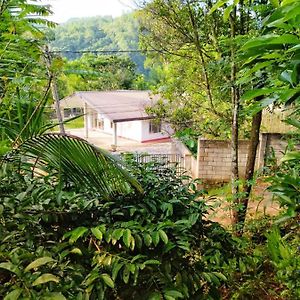 Hanthana View Homestay Kandy Exterior photo