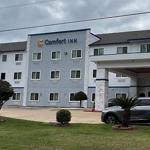 Comfort Inn I-49 South Shreveport Exterior photo