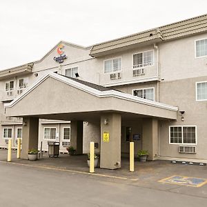 Comfort Inn Yreka I-5 Exterior photo