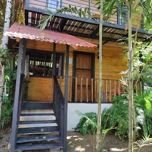 Papaya Wildlife Lodge Cahuita Exterior photo