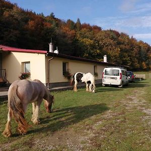 Oddychovy Pobyt Na Rodinnej Farme Matiaska Exterior photo