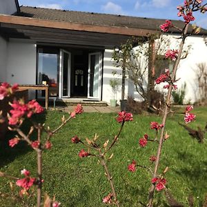 Ferienhaus Seeblick Villa Breitenbrunn  Exterior photo