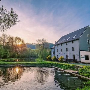 Daviduv Mlyn Hotel Stare Techanovice Exterior photo