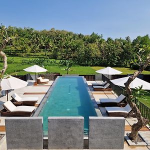 Villa Norwegia - Pool With Panorama Rice Field View Yogyakarta Exterior photo