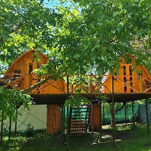 Cabanas Penaflor Glamping Talagante Exterior photo