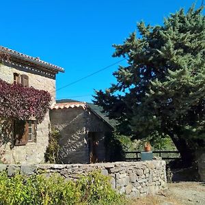 La Bergerie En Cevennes Villa Mialet  Exterior photo