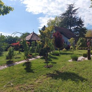 Kuca Na Savi - Stari Hrast Villa Vladimirci Exterior photo