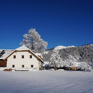 Ferien Am Land - Waldbauer Apartment Rossleithen Exterior photo