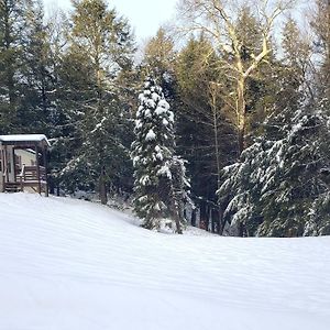 Tranquil Renovated House In Woods - Great For Families Year Around Villa Tannersville Exterior photo