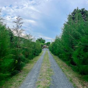 North Pine Forest Homestay บ้านไม้สนโฮมสเตย์ Ban Mae Pong Exterior photo