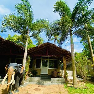 Rathnapriya Villa Ampara Exterior photo