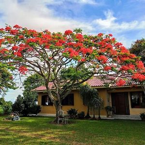 Casa De Campo Perto Do Recanto Maestro Villa Sao Joao do Polesine Exterior photo