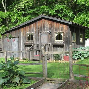 The Renovated Barn At Seneca Rocks Villa Exterior photo