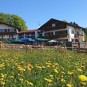 Landhotel Alphorn Ofterschwang Exterior photo