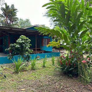 Mono Azul Cahuita Villa Exterior photo