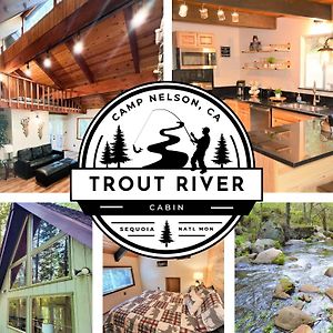 Trout River Cabin - Secluded Riverfront Adventure Villa Camp Nelson Exterior photo