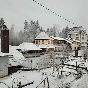 Ворота Карпат Hotel Dilyatyn Exterior photo