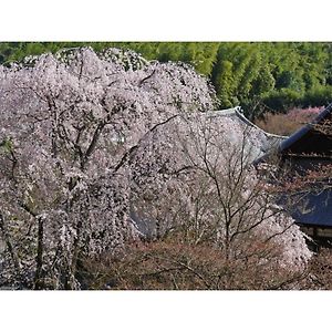 River Side Arashiyama - Vacation Stay 86266V Kyoto Exterior photo