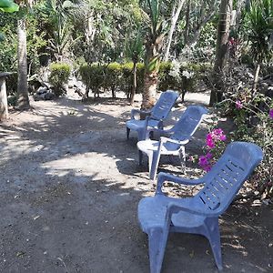 Playa Casa Nohelia Apartment Santo Domingo Exterior photo