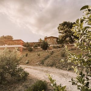 Casale 700 Bed & Breakfast Amendolara Exterior photo