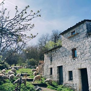 Ferme De Lacassagne Villa Vazerac Exterior photo