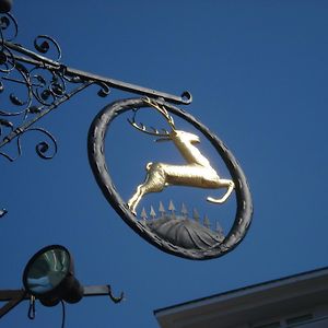 Hotel Goldener Hirsch Bayreuth Exterior photo