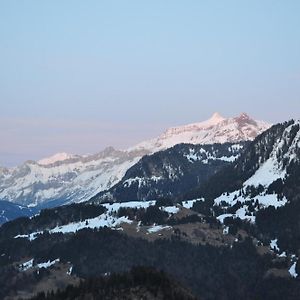 Hotel Central Residence Leysin Exterior photo