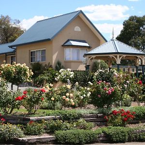 Willows Motel Goulburn Exterior photo