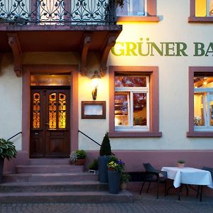 Hotel & Restaurant Gruner Baum Merzhausen Freiburg im Breisgau Exterior photo