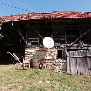 Etno Smestaj Stojadinovic Villa Svrljig Exterior photo