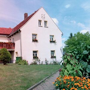 Pension Annelie Hotel Dresden Exterior photo