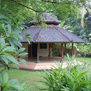 Sananda Bungalow Hotel Lovina  Exterior photo