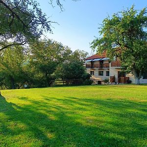 Pensiunea Agroturistica Ica Hotel Valea Drăganului Exterior photo