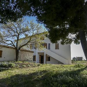 Massignano 116 Bed & Breakfast Sirolo Exterior photo